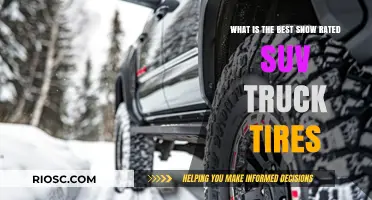 Top-Rated Snow SUV Truck Tires: Unveiling the Best Options for Winter Driving
