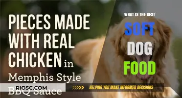 Top Picks for Your Furry Friend: The Best Soft Dog Foods of 2024