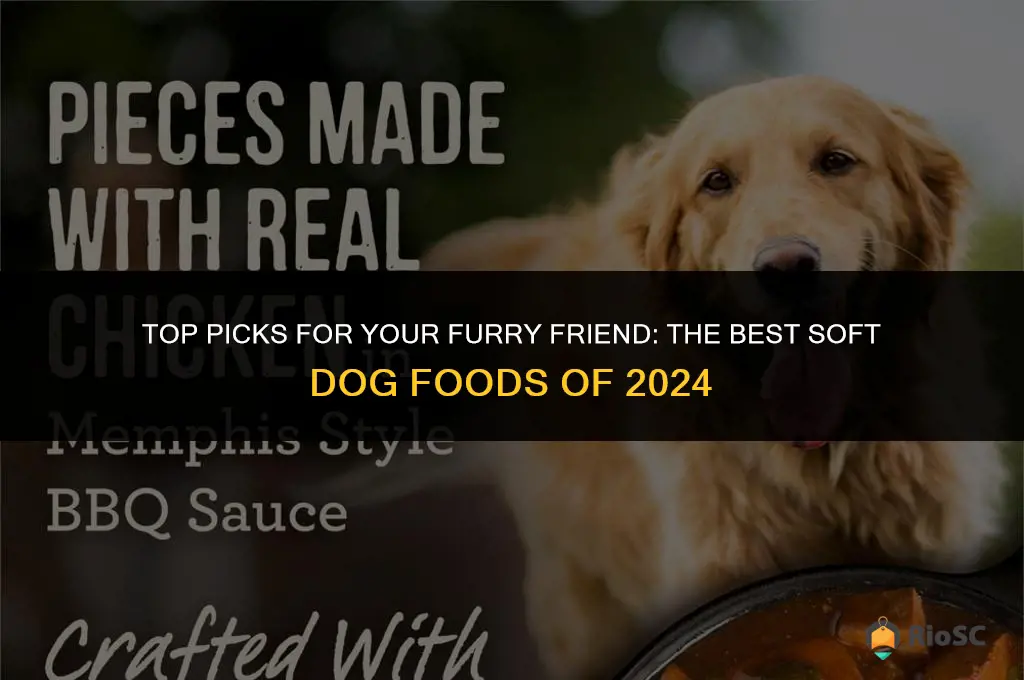 what is the best soft dog food