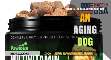 Revitalizing Your Senior Dog: Discover the Top Supplement for Aging Canines