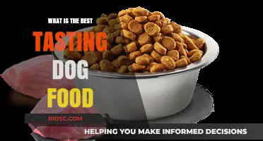 Unleashing Flavor: A Guide to the Most Delicious Dog Food Options