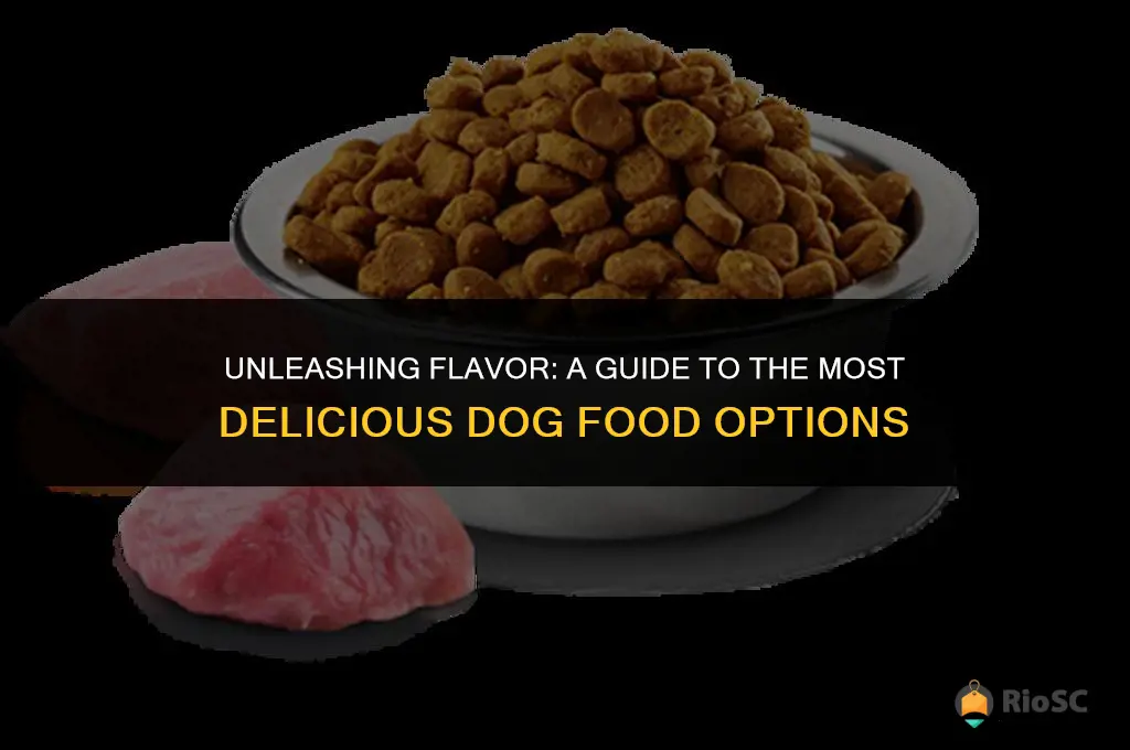 what is the best tasting dog food