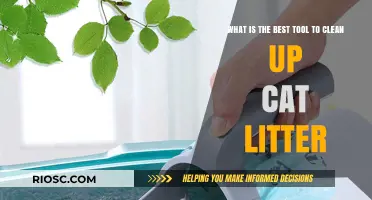 Top Cat Litter Cleaning Tools: Finding the Perfect Solution for a Fresh and Odor-Free Home