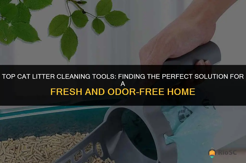 what is the best tool to clean up cat litter