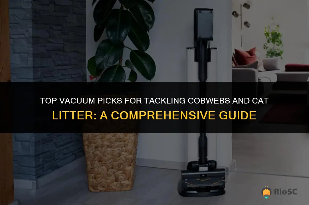 what is the best vacuum for cobwebs and cat litter