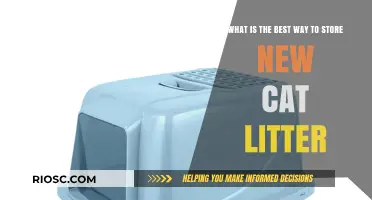 Effective Cat Litter Storage: Tips for Keeping Your New Litter Fresh and Dry