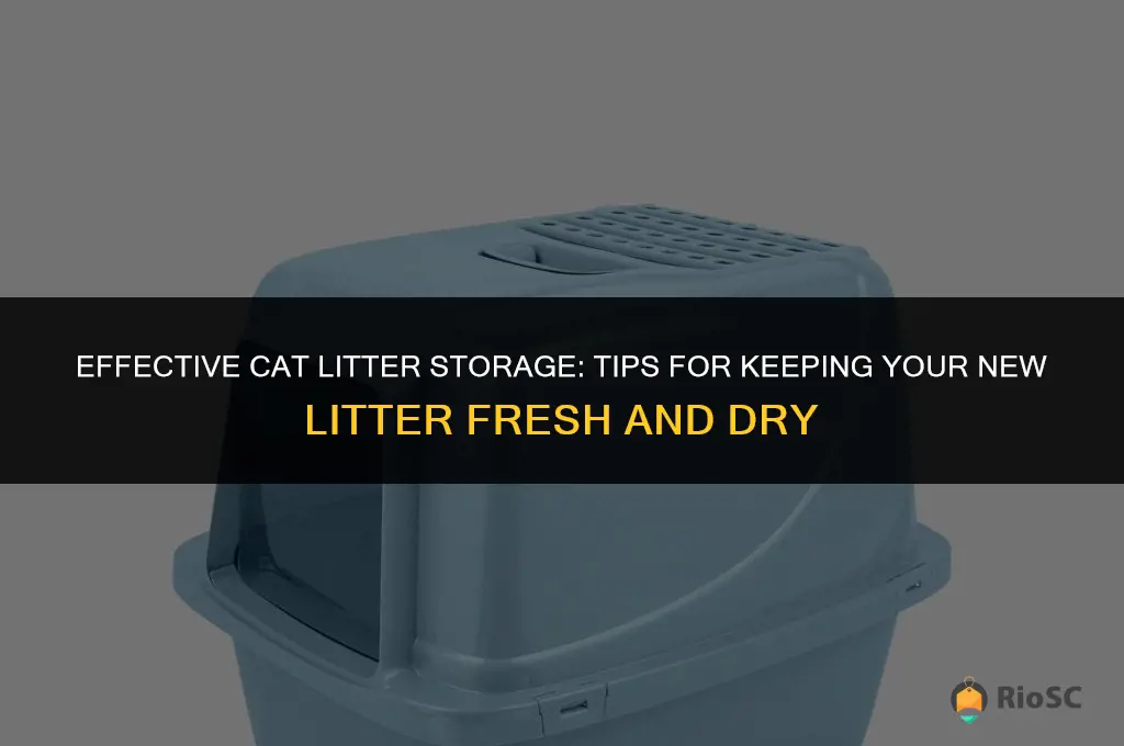 what is the best way to store new cat litter