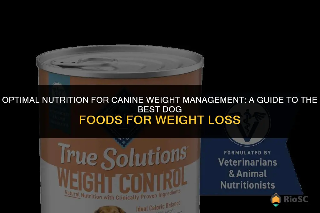 what is the best weight loss dog food