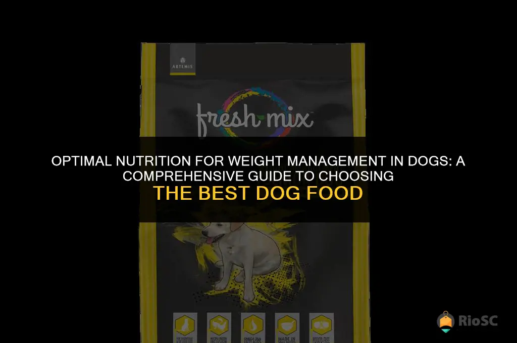 what is the best weight management dog food