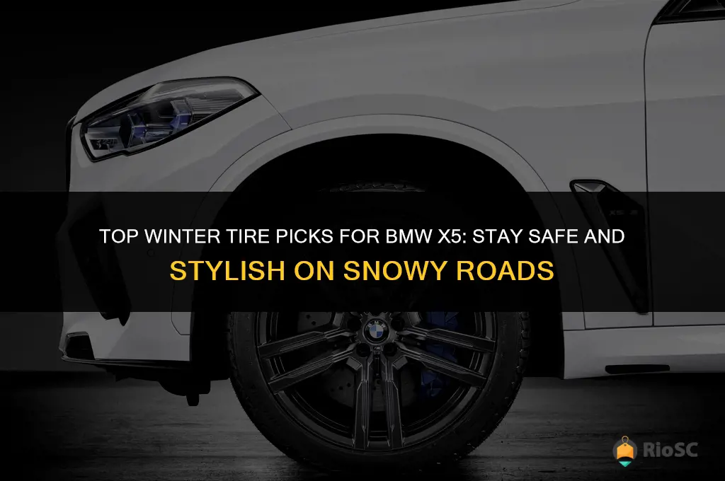what is the best winter tires for bmw x5