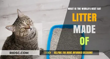 The Ultimate Guide to the World's Best Cat Litter: Materials and Composition Explained