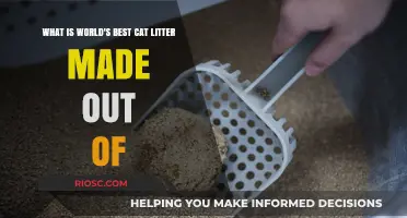 Unveiling the Secret: What Makes the World's Best Cat Litter So Effective?