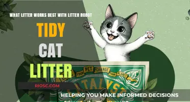 Best Litter for Litter Robot: Why Tidy Cat Litter Stands Out