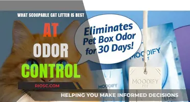 Top Scoopable Cat Litter Options for Superior Odor Control: A Comprehensive Guide
