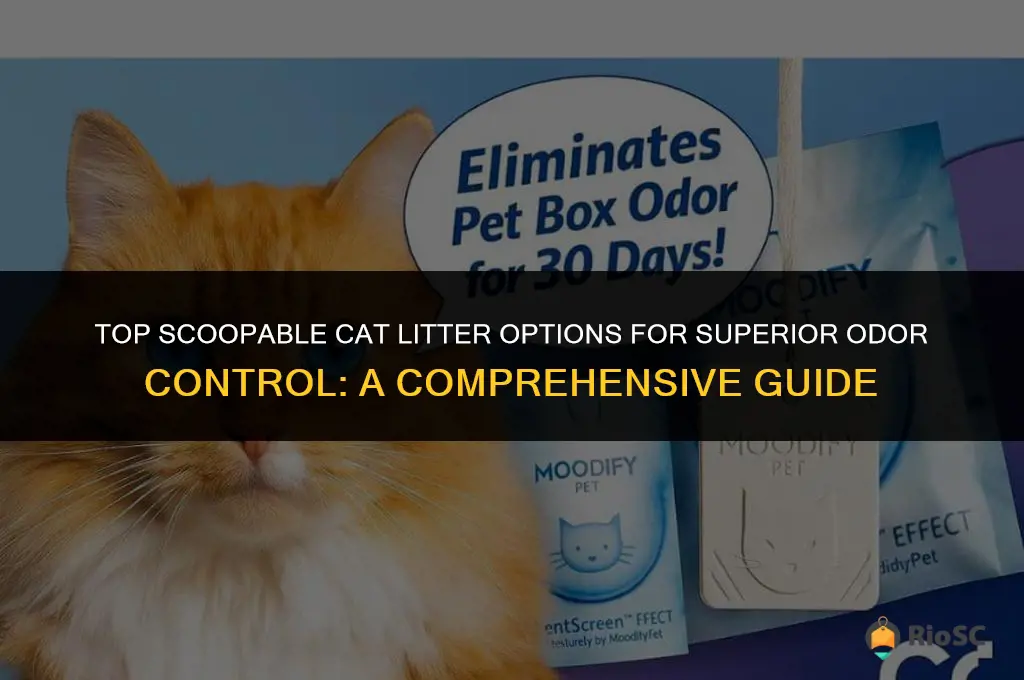 what scoopable cat litter is best at odor control
