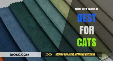 Cat-Friendly Sofa Fabrics: Choosing the Best Material to Withstand Claws and Fur