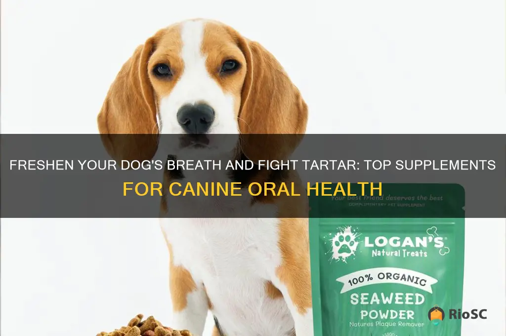 what supplements work best for dog breath and tartar