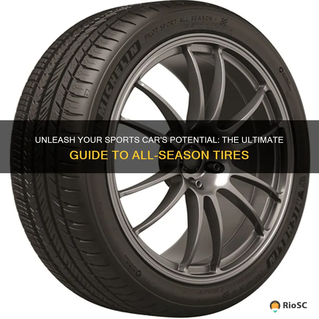 what the best all sesean tires for a sports car