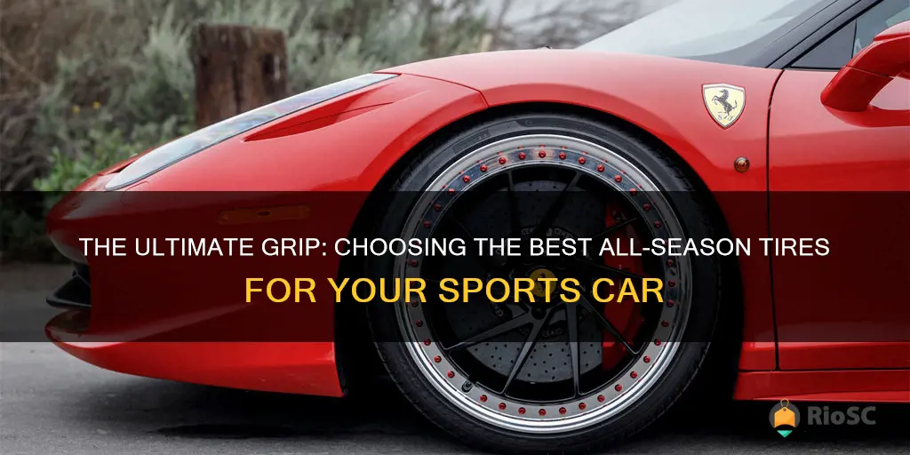 what the best all sesean tires for a sports car