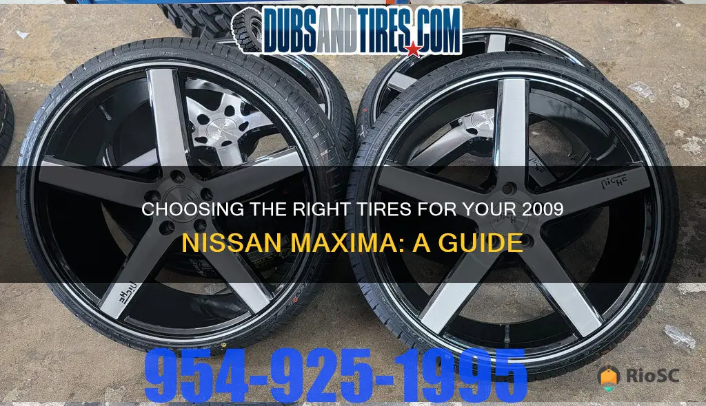 Nissan Maxima Tire Sizenull