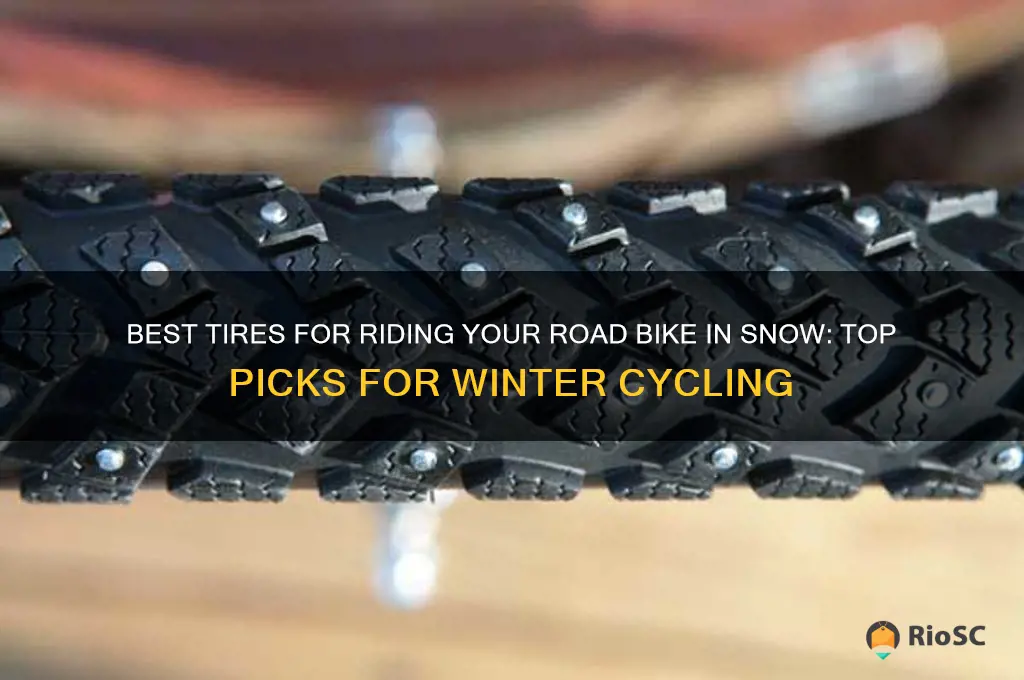 what tires are best to ride road bike in anow