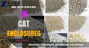 Choosing the Perfect Litter for Cat Enclosures: A Comprehensive Guide to Safety, Comfort, and Maintenance
