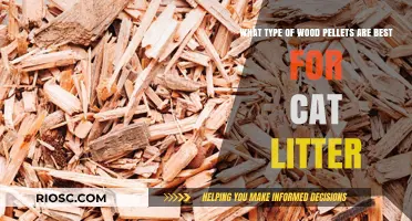 Choosing the Best Wood Pellets for Cat Litter: A Comprehensive Guide to Types and Benefits