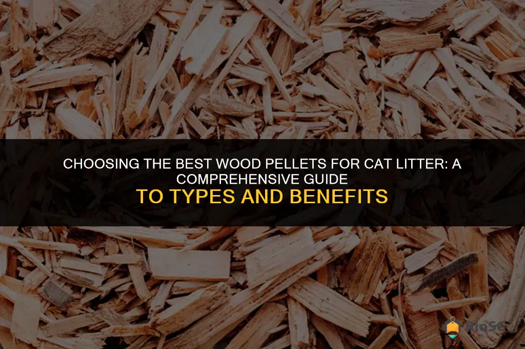 what type of wood pellets are best for cat litter