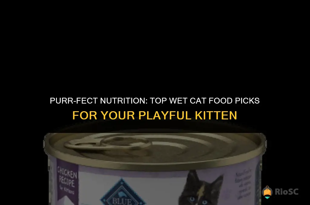 what wet cat food is best for kittens