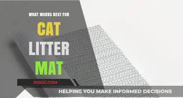 Top Tips for Choosing the Best Cat Litter Mat: What Works Best for Your Feline Friend