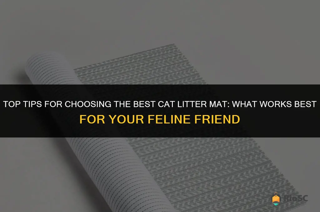what works best for cat litter mat