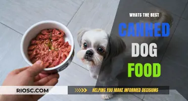 Top Picks for Your Furry Friend: The Best Canned Dog Foods of 2024