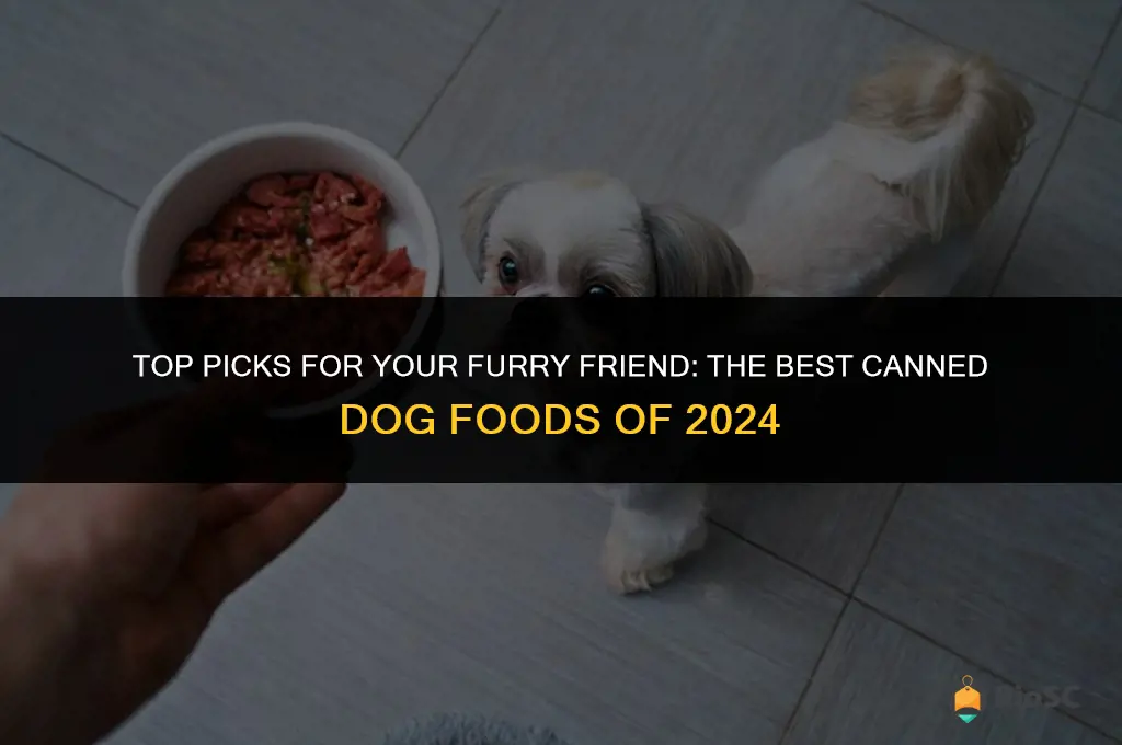 whats the best canned dog food