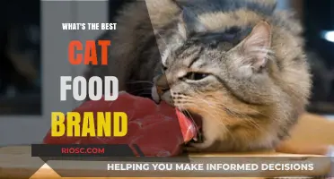 Top-Rated Cat Food Brands: A Comprehensive Guide for Feline Nutrition