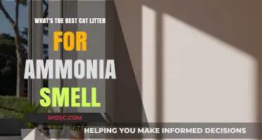 Eliminate Ammonia Smell: Discover the Best Cat Litter for a Fresh and Odor-Free Home