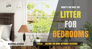 Choosing the Best Cat Litter for Bedrooms: Odor Control, Low Dust, and Quiet Options