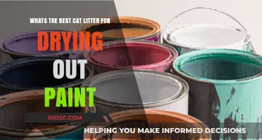 Effective Cat Litter Solutions for Drying Out Paint: Top Picks and Tips