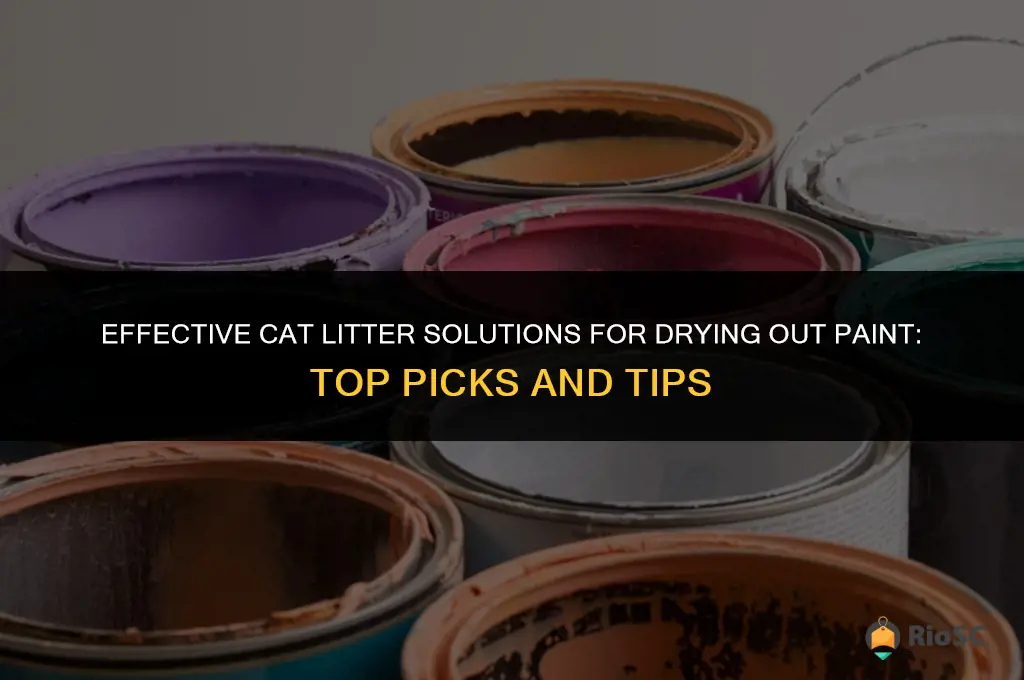 whats the best cat litter for drying out paint