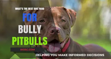 Nutrition for Bully Pitbulls: Finding the Best Dog Food for Optimal Health and Muscle Growth