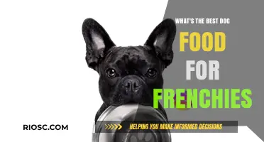 Top Nutritional Picks: Finding the Best Dog Food for French Bulldogs