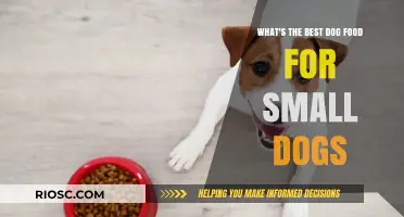 Nutrition for Petite Pooches: Unveiling the Ideal Dog Food for Small Breeds