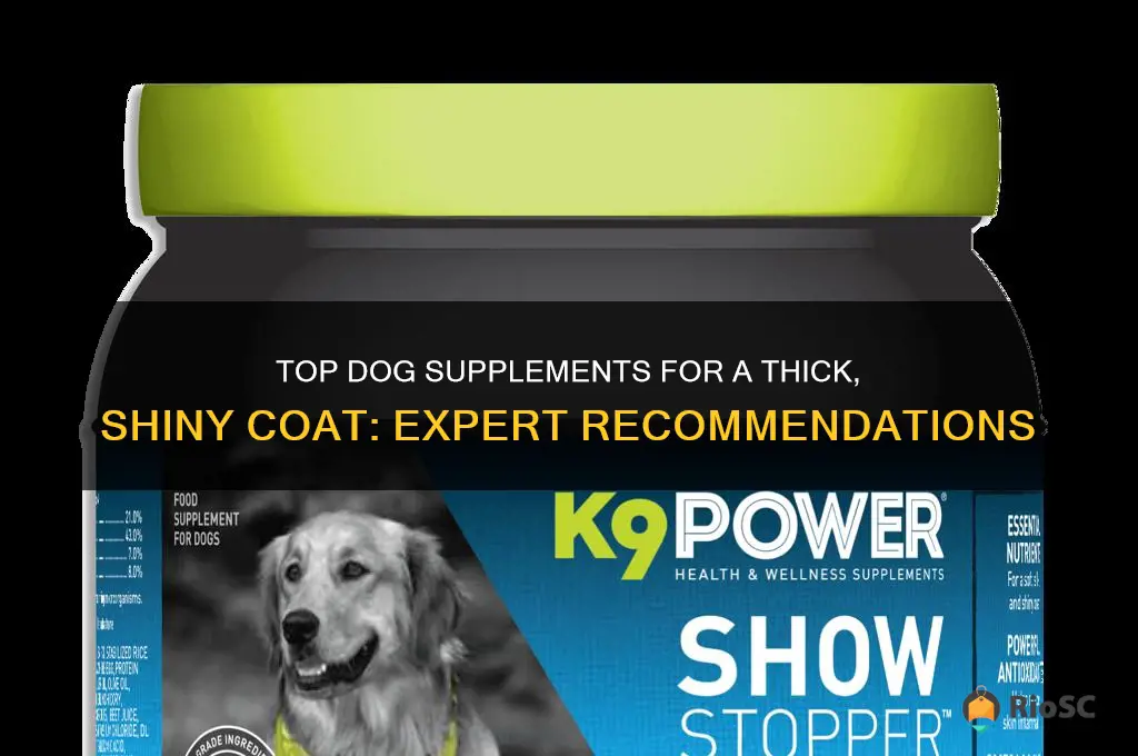 whats the best dog supplement for a thick coat