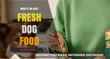 Top Picks for Fresh Dog Food: A Comprehensive Guide to Nourishing Your Furry Friend