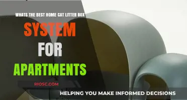 Compact and Odor-Free: The Ultimate Home Cat Litter Box System for Apartment Living