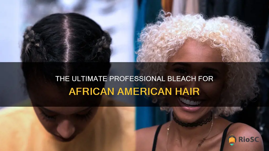 whats the best professional blech for african american hair