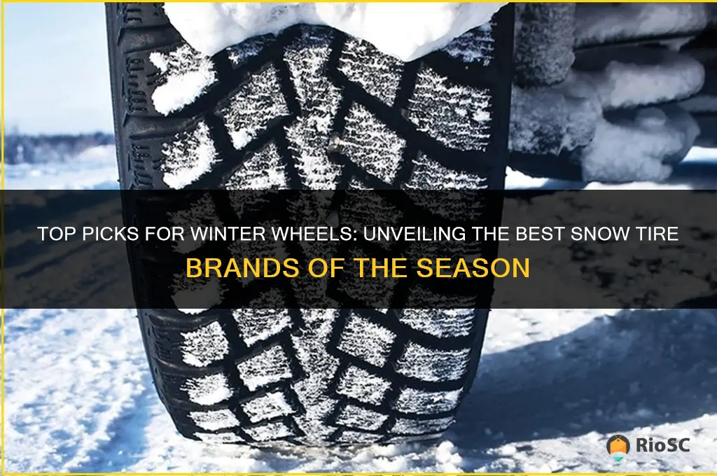 whats the best tire brand for snow tires