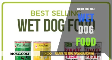 Top Picks for Your Pup: The Best Wet Dog Foods of 2024