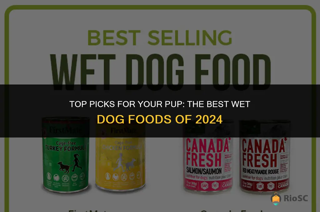 whats the best wet dog food