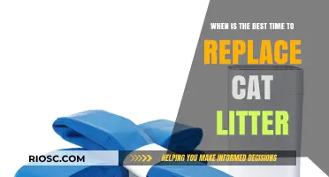 Purr-fect Timing: When to Replace Your Cat’s Litter for a Fresh and Happy Environment