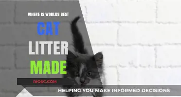 Unveiling the Origin: Where the World's Best Cat Litter is Manufactured